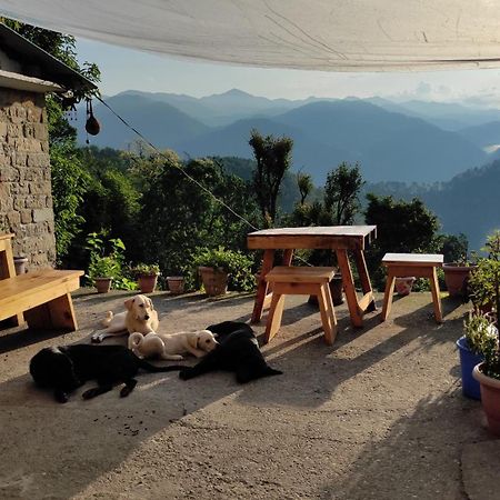 Vista Hostel Jeolikote, Nainital Patwa Dunga Chambre photo