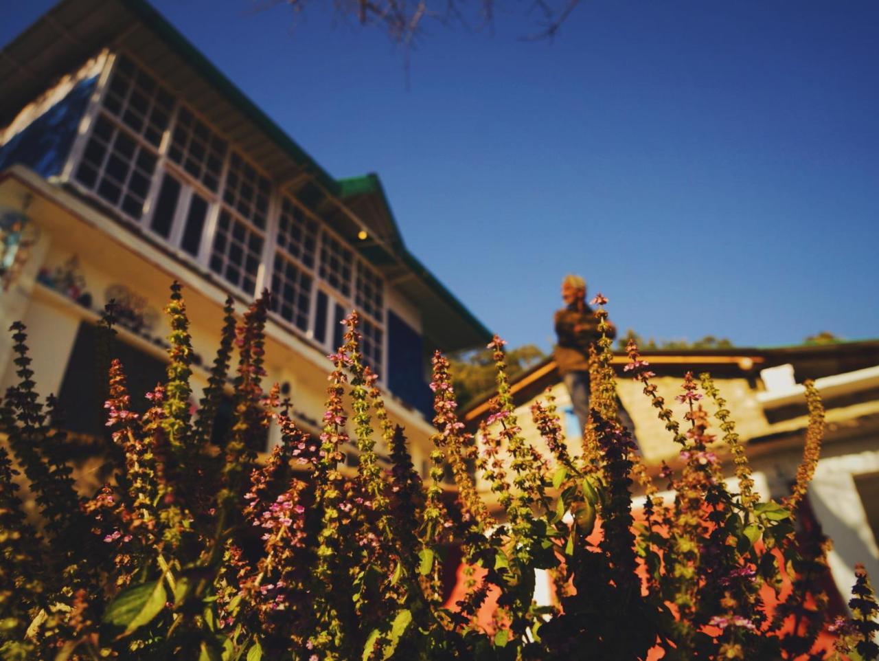 Vista Hostel Jeolikote, Nainital Patwa Dunga Extérieur photo